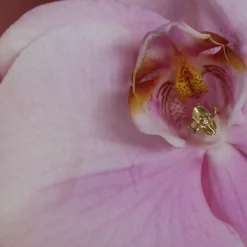 Anissa Kermiche Iris-Istible Stud- Earrings