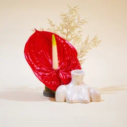 Anissa Kermiche Little Women Duo (Black, Marble)- Home