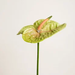 Anissa Kermiche Love Heart Mother Of Pearl Signet Ring- Rings