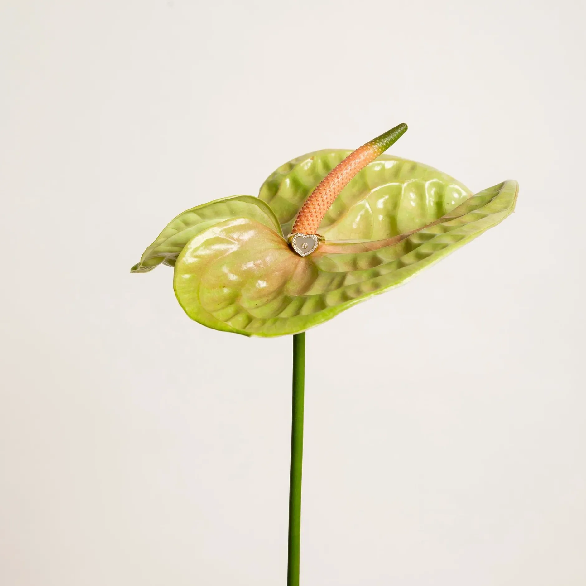 Anissa Kermiche Love Heart Mother Of Pearl Signet Ring- Rings