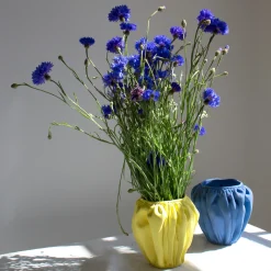 Anissa Kermiche Swanky-Panky Pot (Lemon)- Home